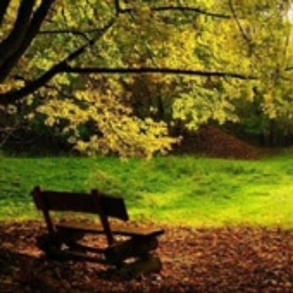 Roy Wilson Collins Jr.