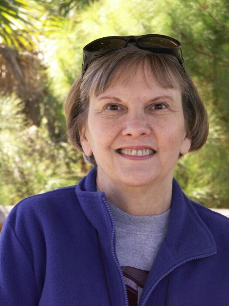 Carolyn Sue (Floyd)  Lantz