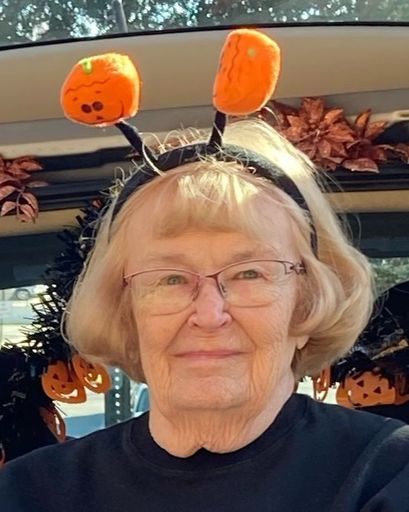 Joan Lee Alkyer's obituary image