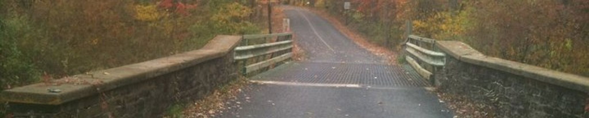 Cover for Eileen M. Phillips's Obituary