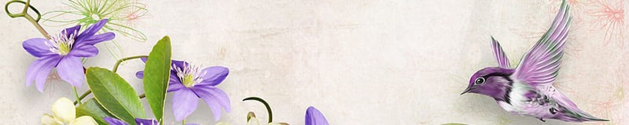 Cover photo for Isabel Jean Spiller (nee McCallum)'s Obituary