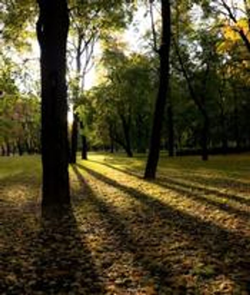 Harry B. Fischer, Jr. Profile Photo