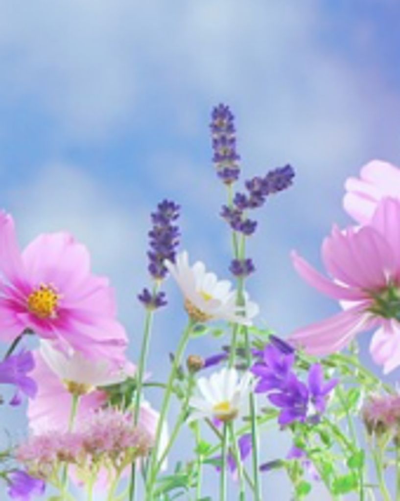 Yvonne (Wilson) Cooper