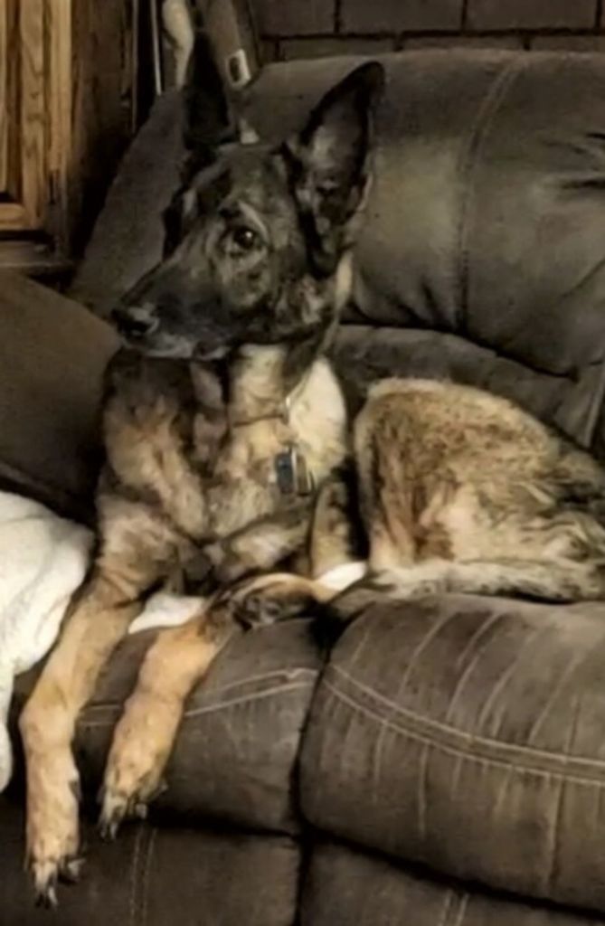 Ricky Lee Boyce Profile Photo