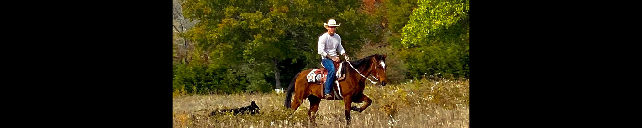 Cover photo for Jesse Cole Wyatt - O’Bannon's Obituary