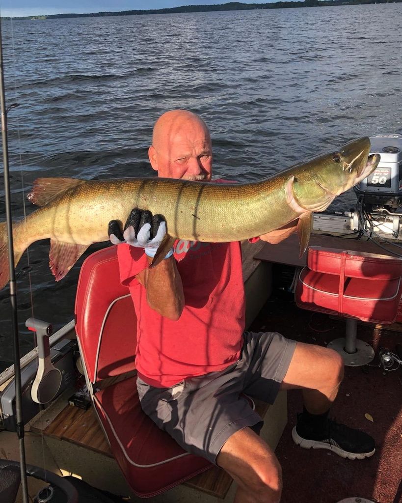 Jeff Freeman Profile Photo