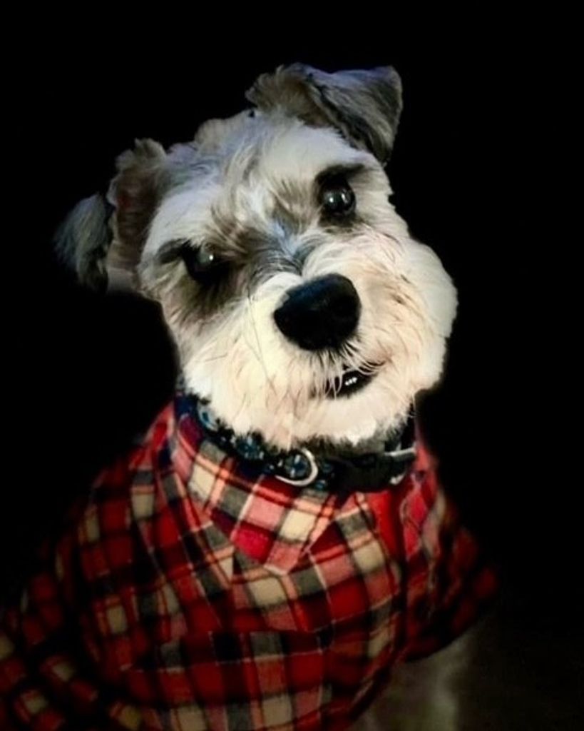 Dexter Floyd Profile Photo