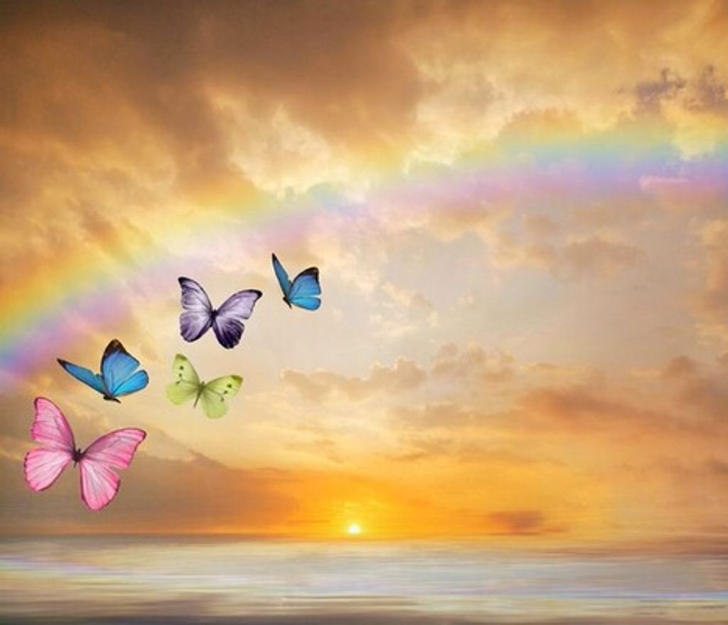 Callie Rose Gallagher