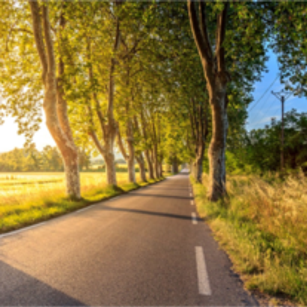 Curtis Michael "Mike" Hoaks Profile Photo