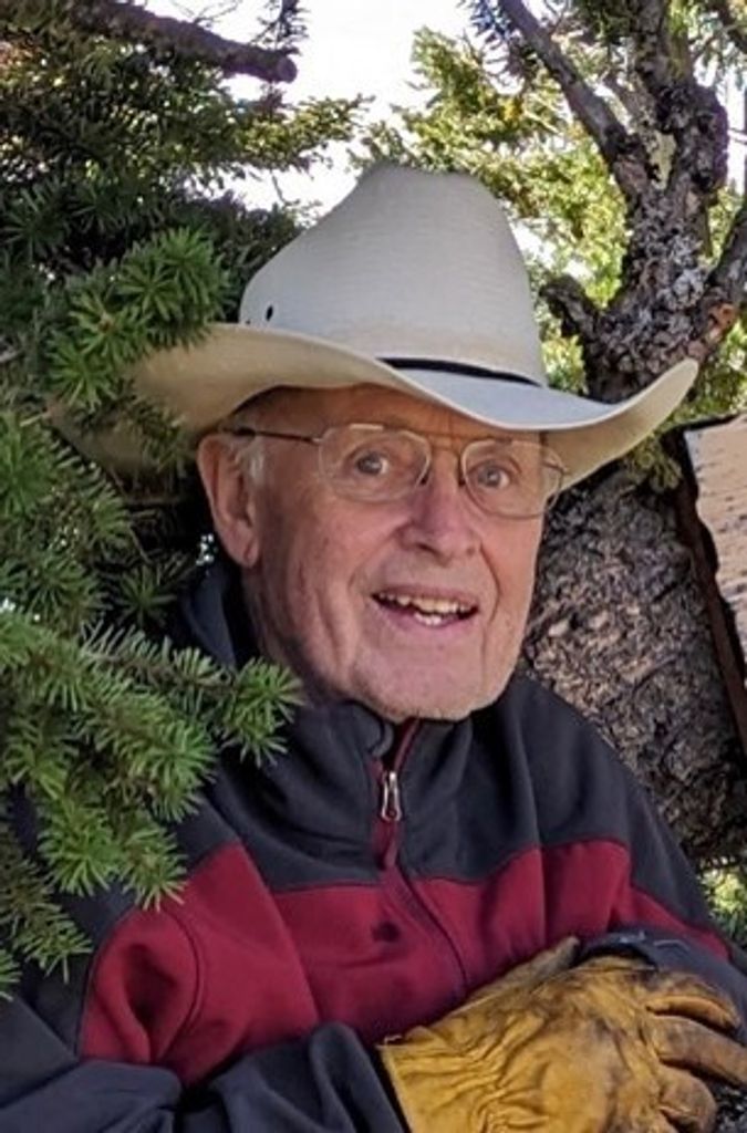 Donald Edward Bacon Profile Photo