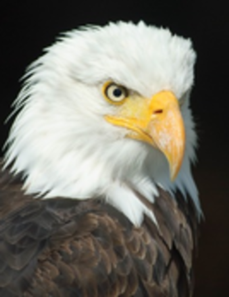 Mr. Gary D. Quarles Profile Photo