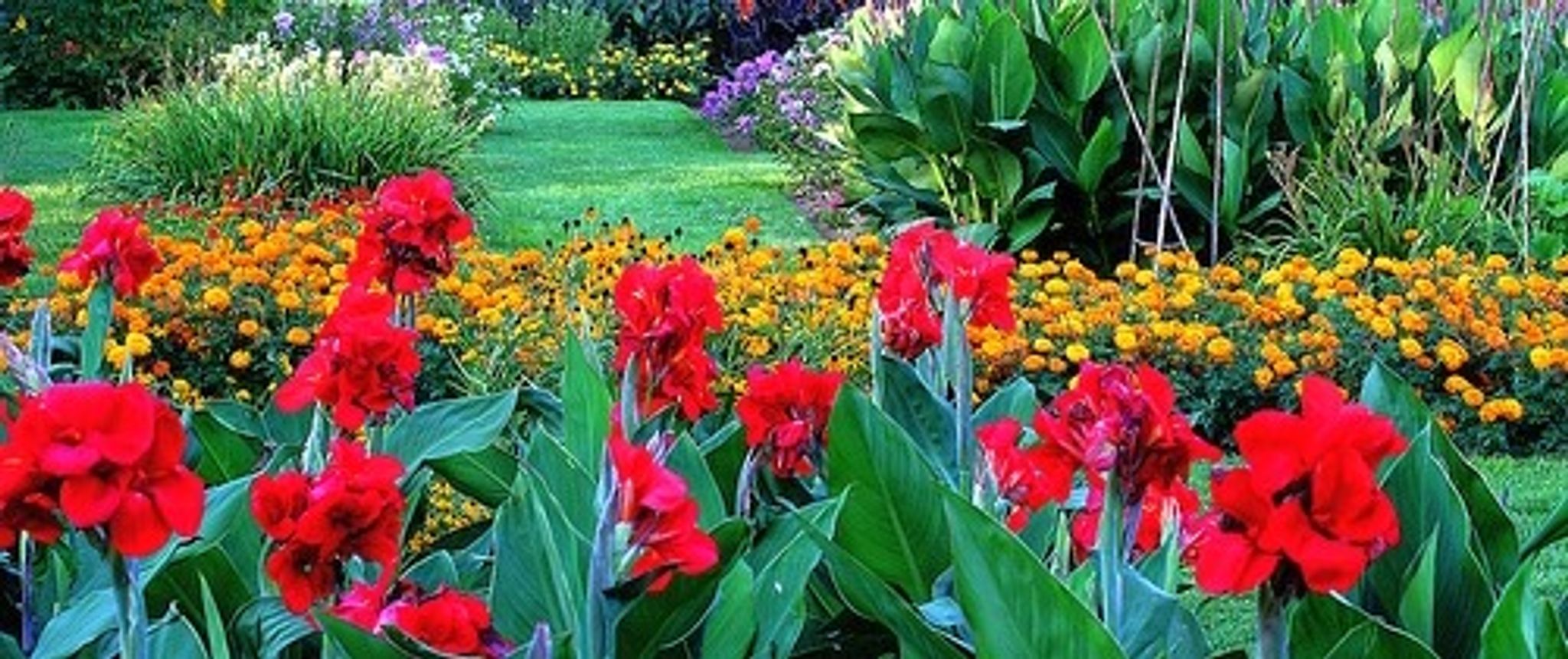 Cover photo for Ruth Whary's Obituary
