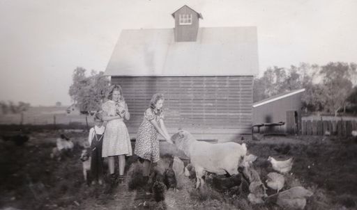 Rosaline "Rosie" C. Erickson photo gallery thumbnail 36 of 80
