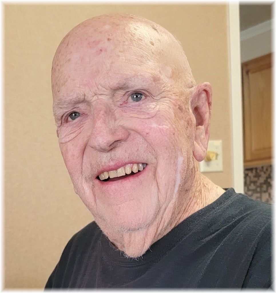 Vernon D. Radke