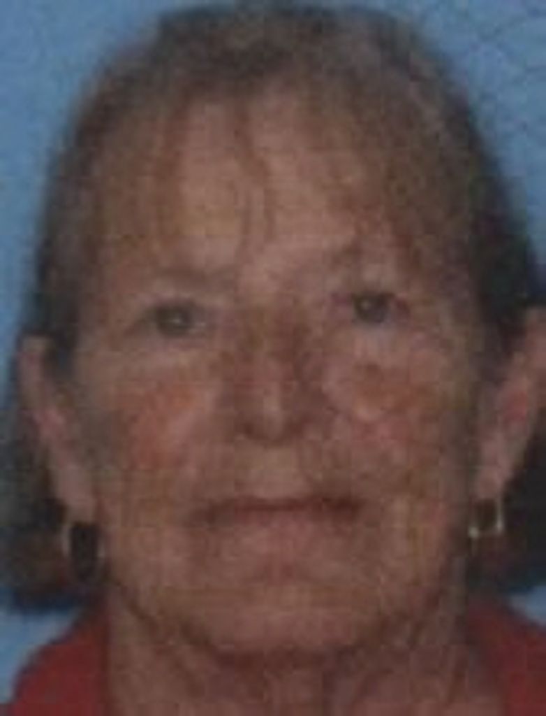 Virginia L. Sansoucie