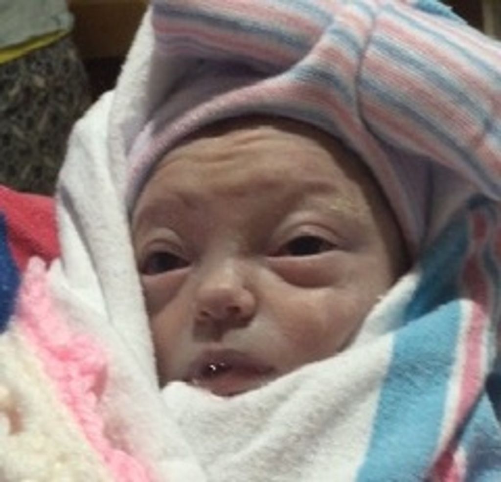 Bryn Patricia Gardner