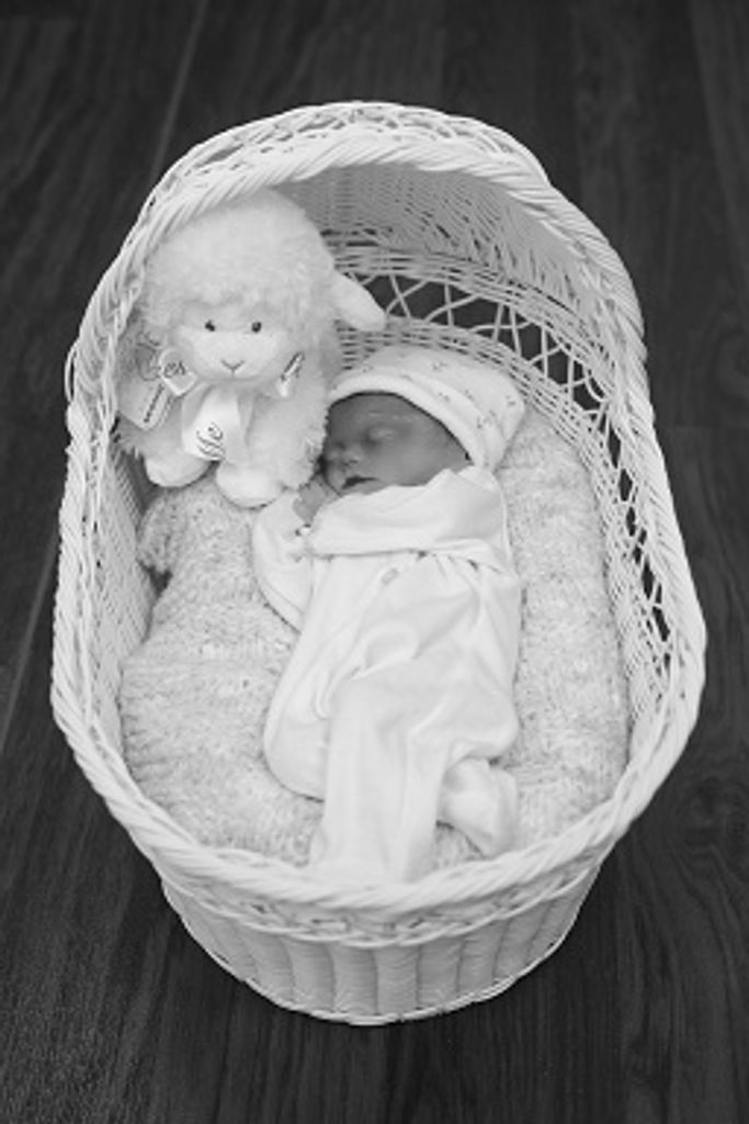 Everleigh Bay Chambers