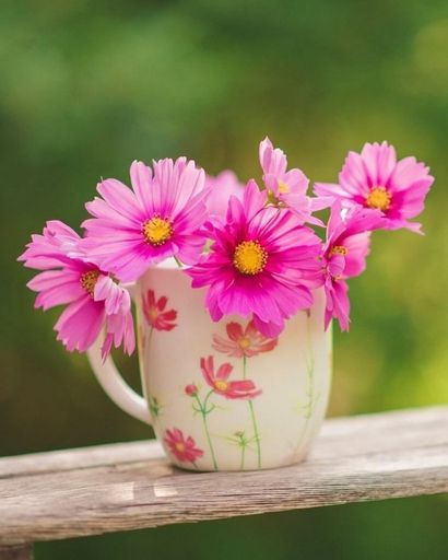 Heidi Johnson's obituary image
