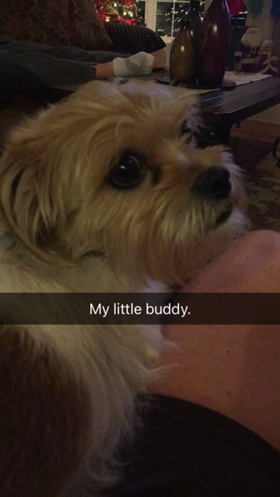 Tucker "Tucky Too" Keim Profile Photo