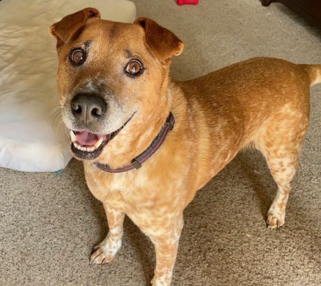 Samuel Louise Eberhardt-Mcfarland