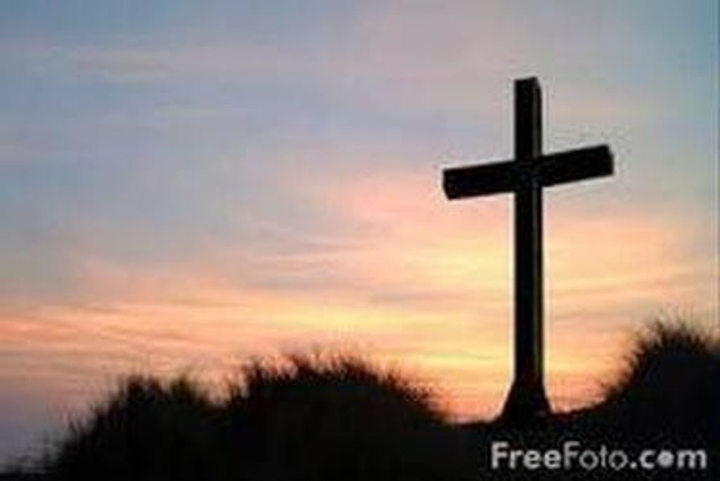 Wilma Walker Cole Profile Photo