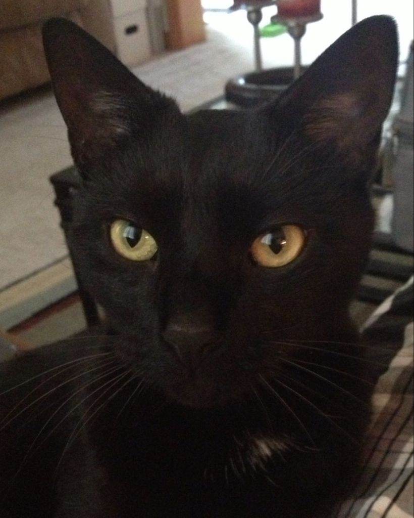 Marlowe "Mar Mar" Profile Photo