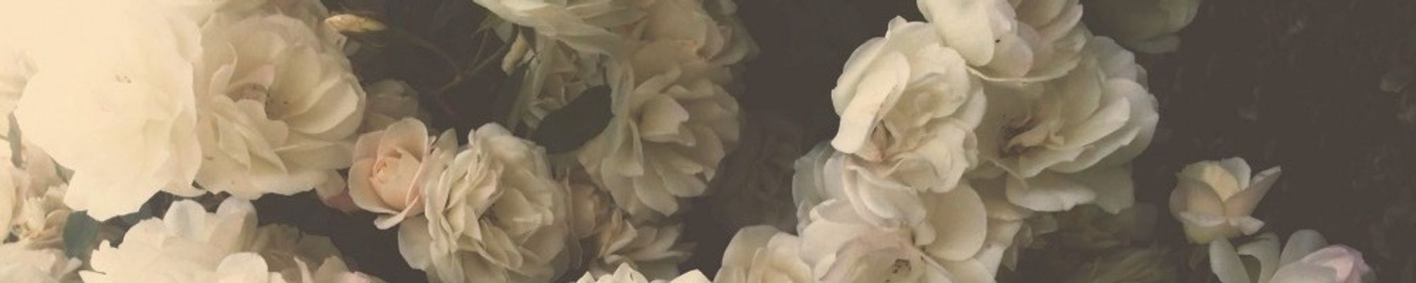 Cover for Eleanor P. "Elly" Syracuse's Obituary