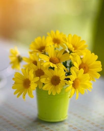 Barbara C. Lewis's obituary image