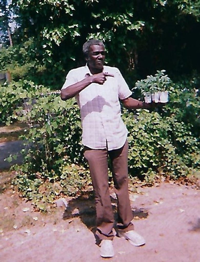 Harry Haynes Profile Photo