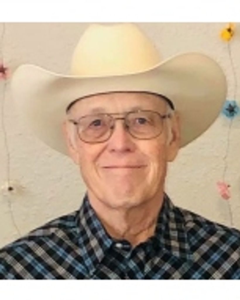 Robert N. Shelton