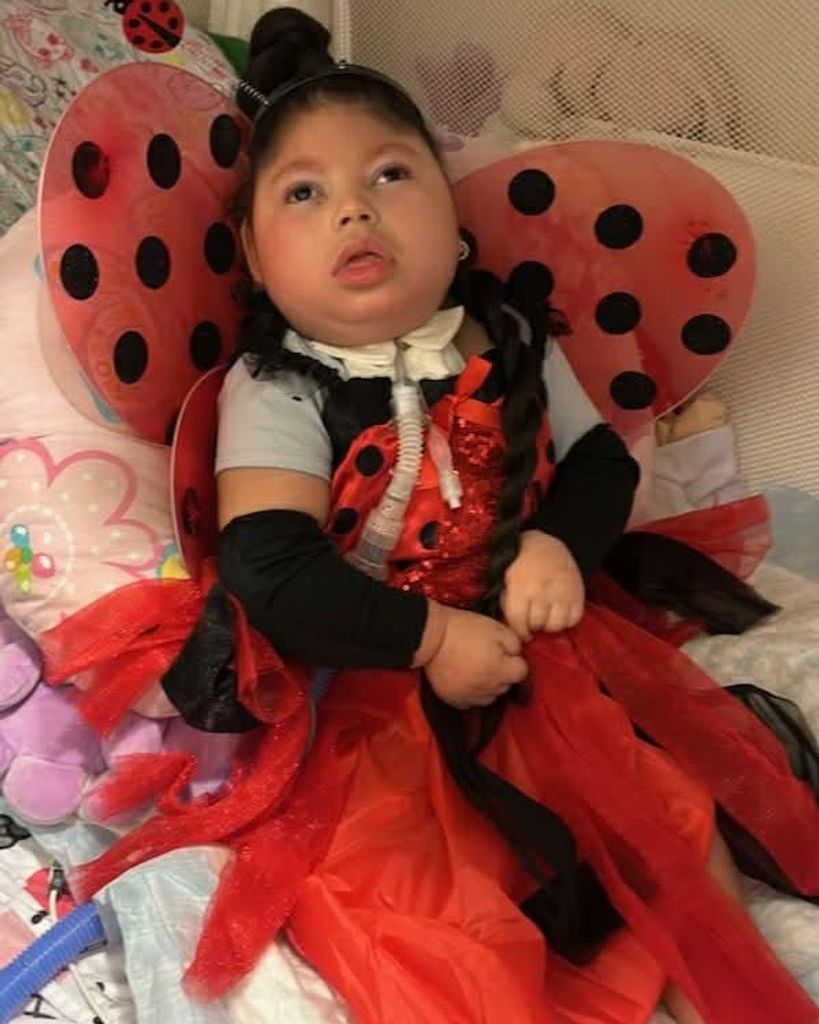 Kennyalis Nailee O'Farrill Profile Photo