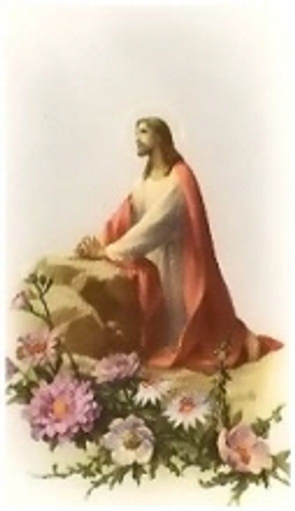 Martha  Stitt Hellebush