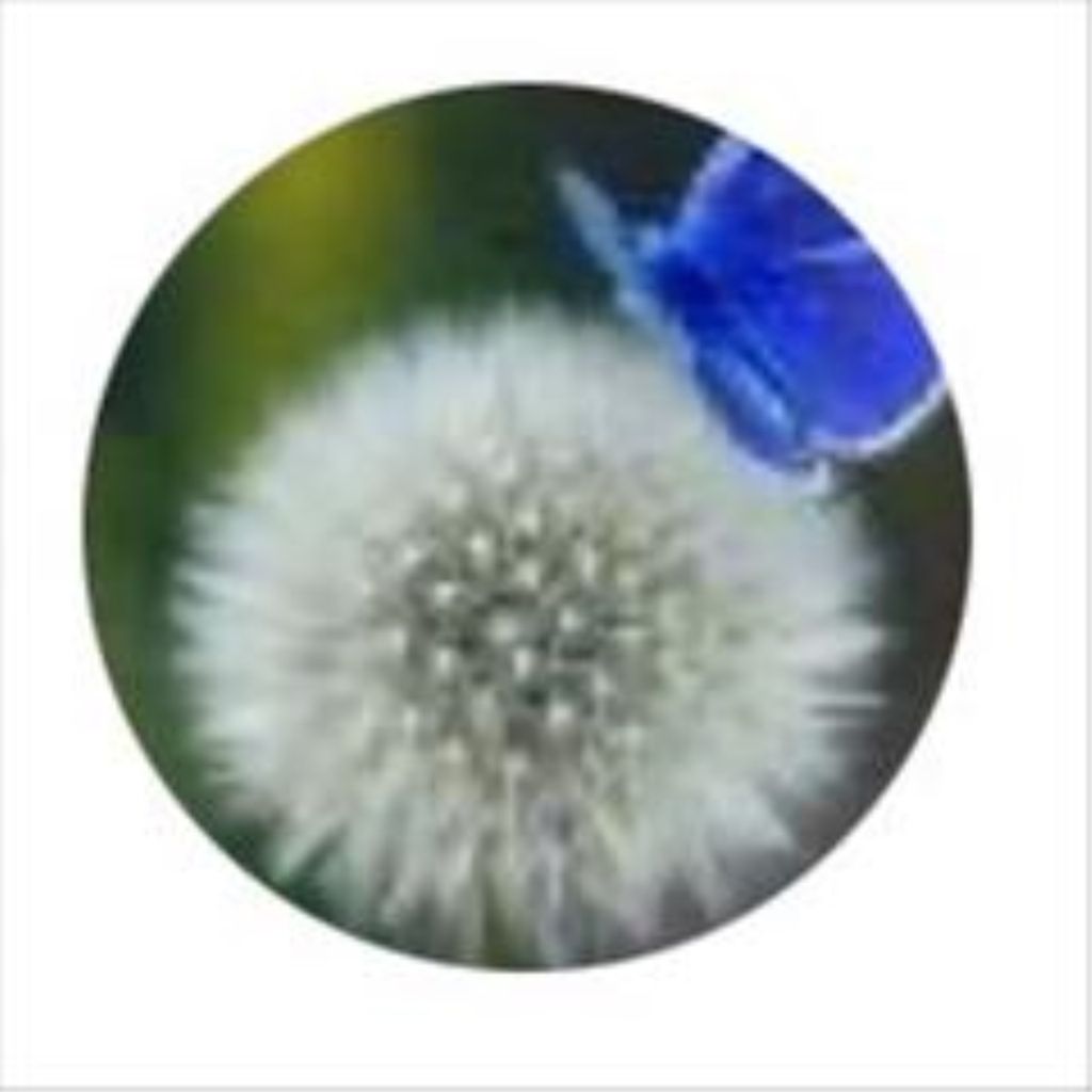 Lillian Frances Bowden Profile Photo