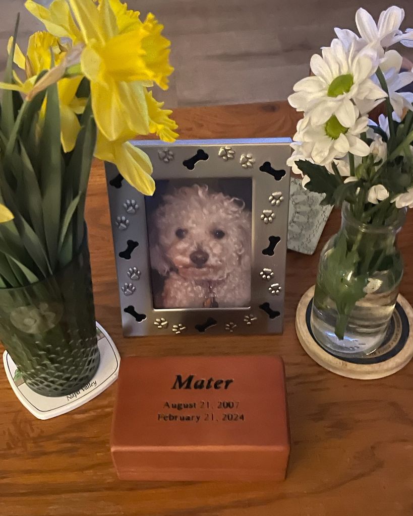 Mater Flynn Profile Photo