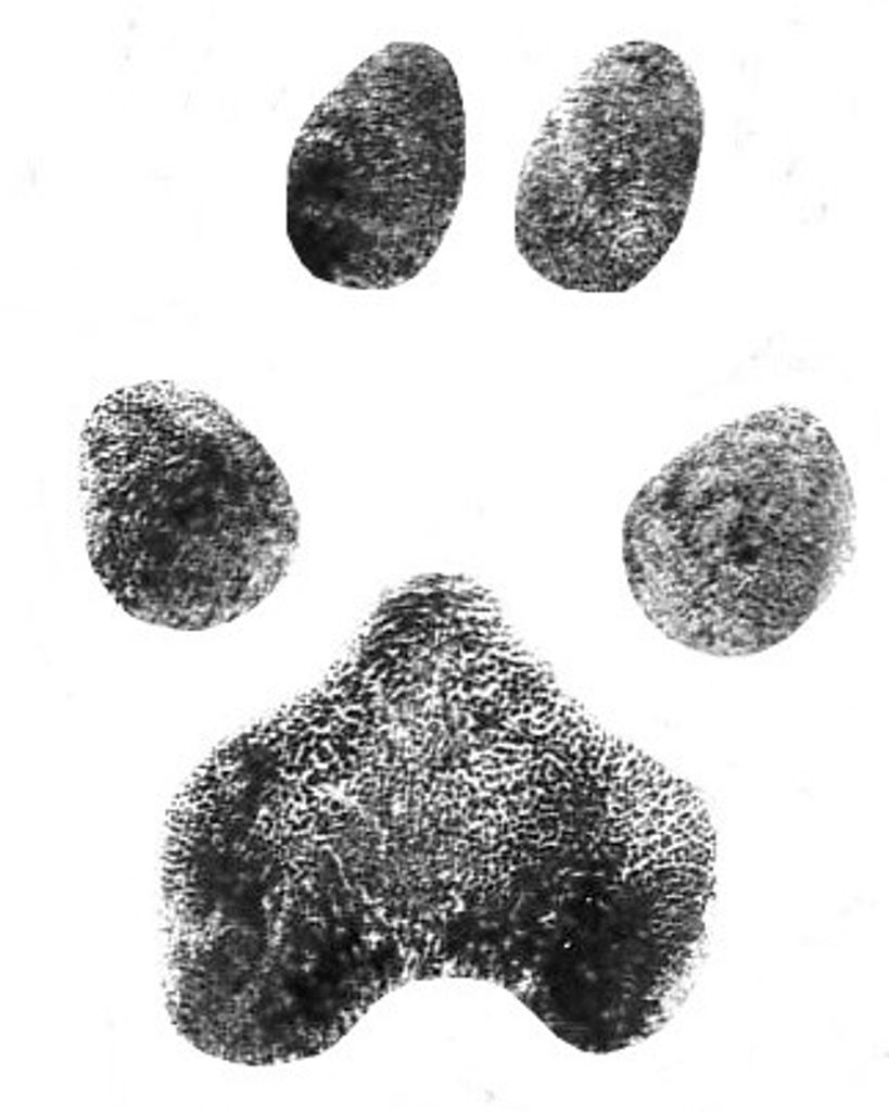 Winx Guinz Profile Photo