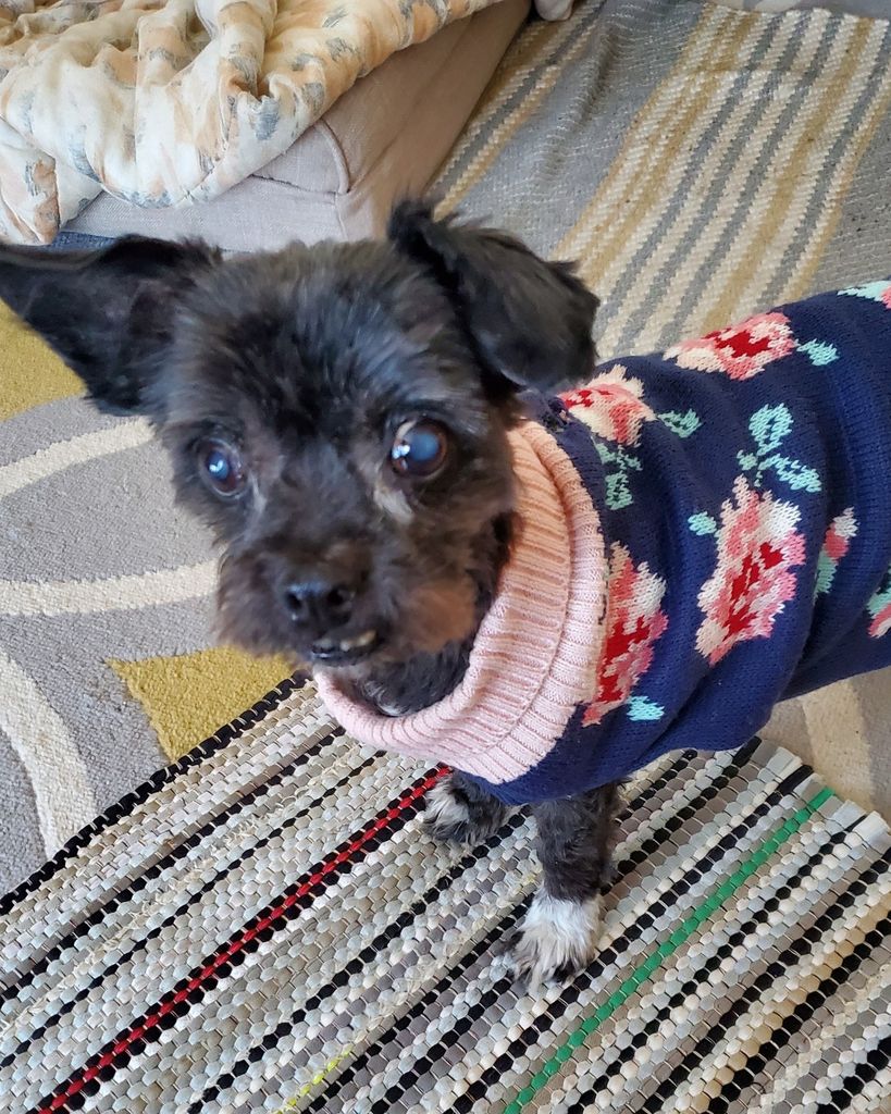 Lucy