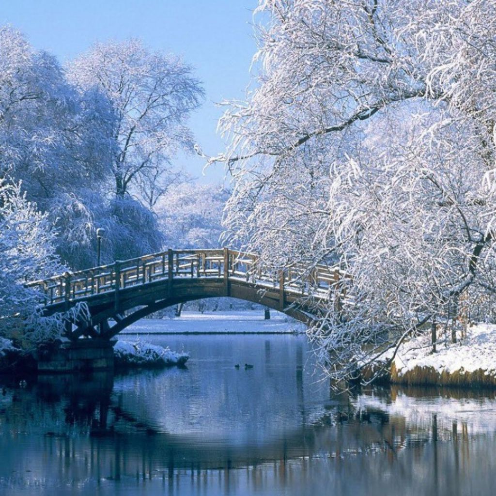 Osvaldo Gonzalez Garcia Profile Photo