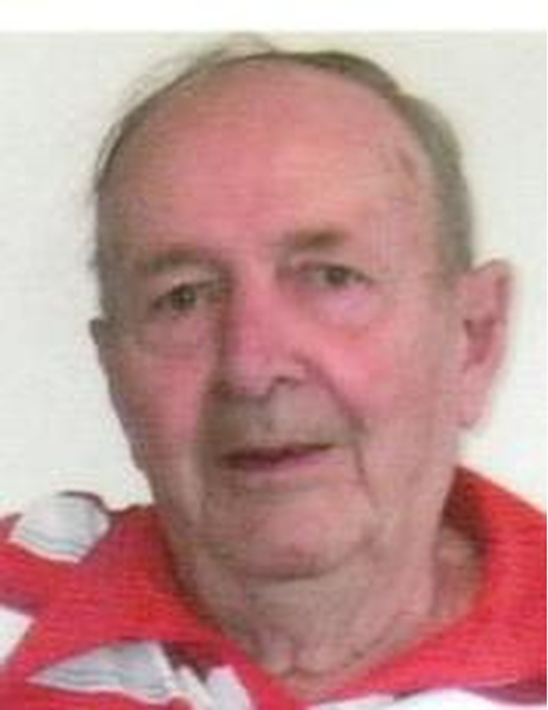 Donald Loomis Zinger