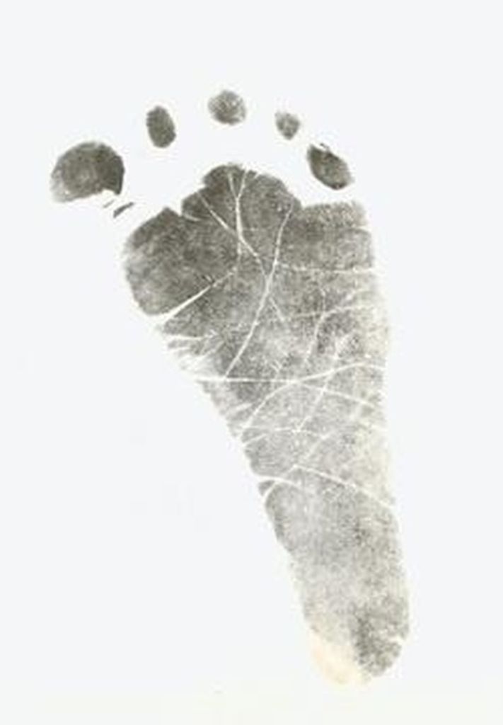 Dallas Mccoy Niehaus