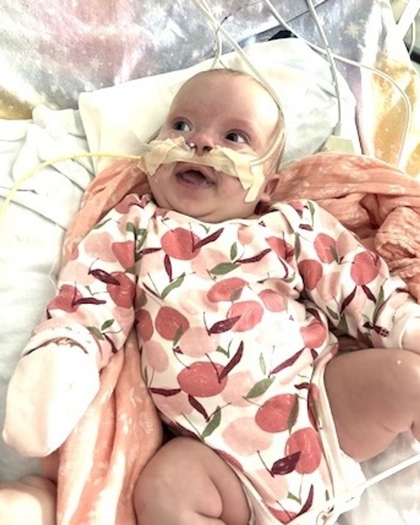 Lily Ann Neerings Profile Photo