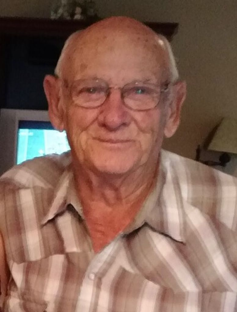 Benny Morris Brown Profile Photo