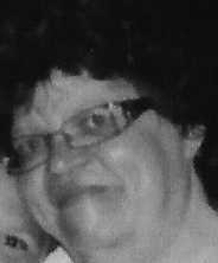 Nancy Jean (Bierline)  Holmes