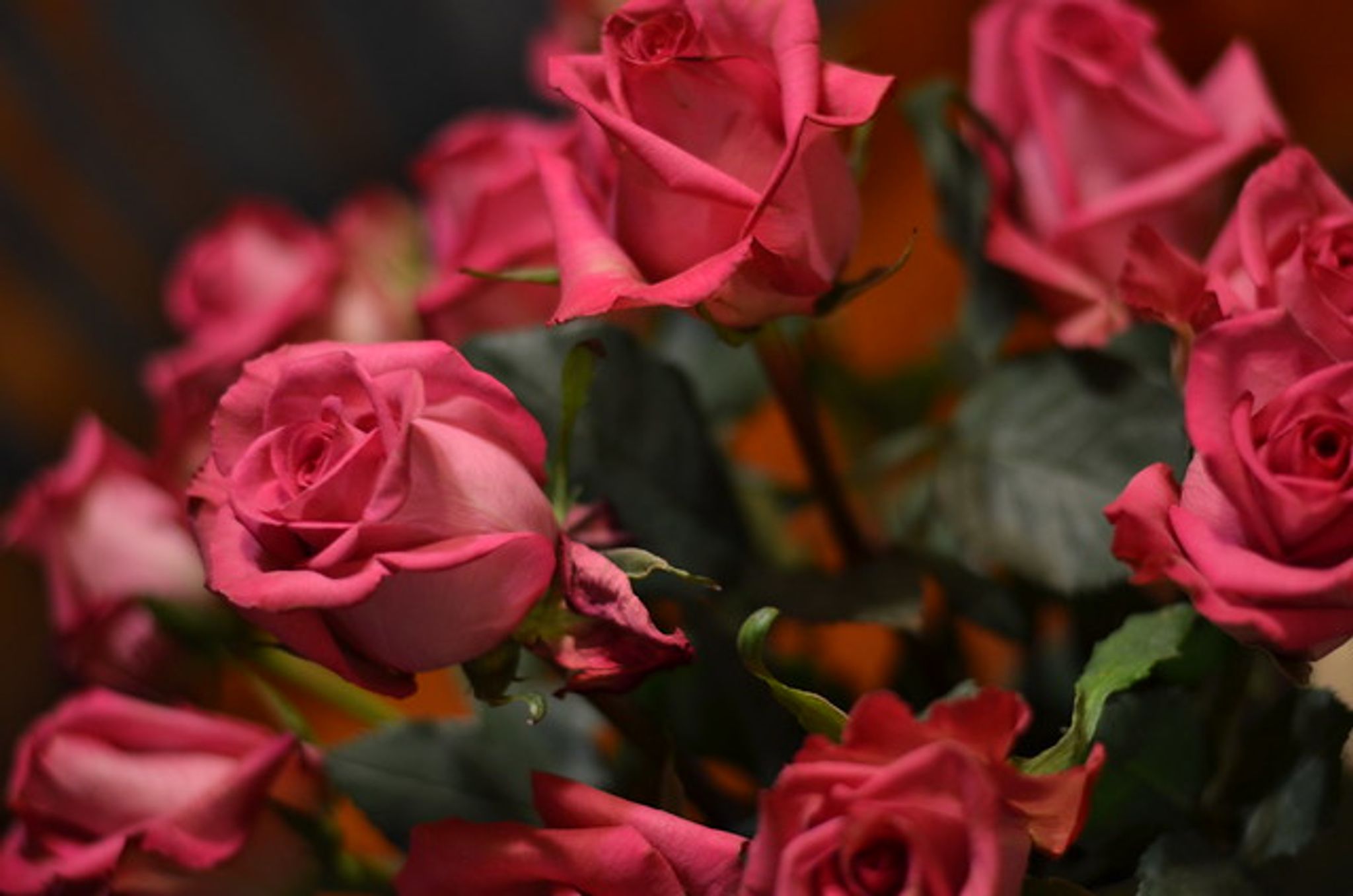 Cover photo for Louise J. Weaver's Obituary