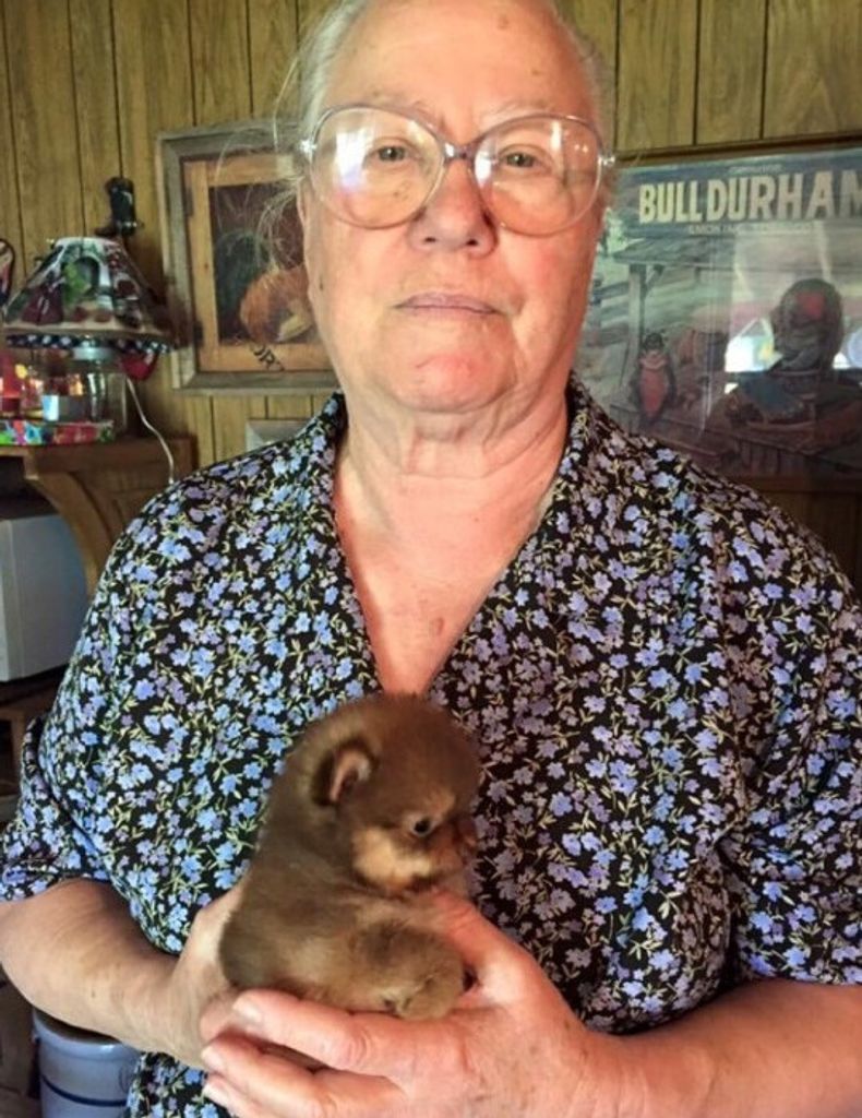Betty Lou (Mansel)  Walker