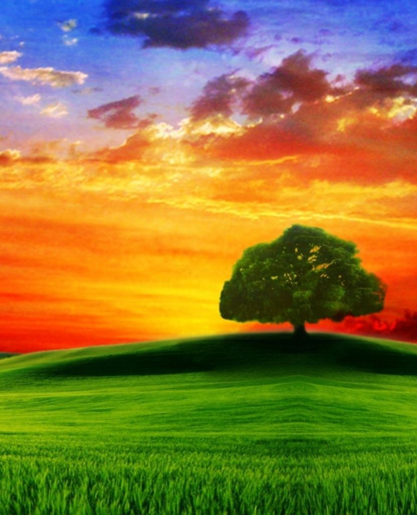 Beulah Ilean Worcester