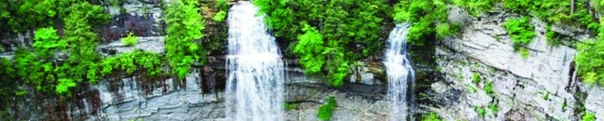 Cover for Libby Williams Richardson's Obituary