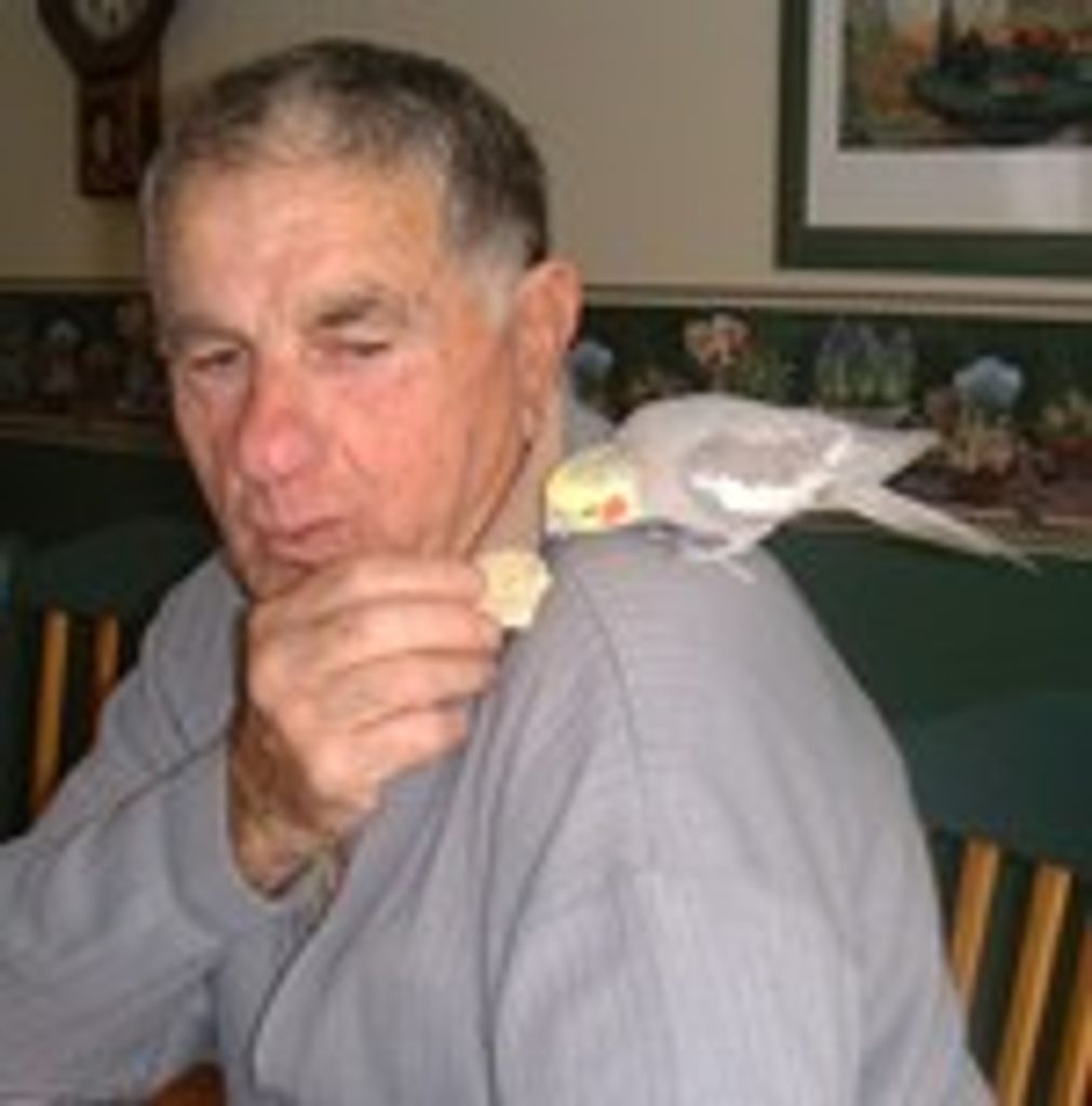 Francesco Alberto Altitonante