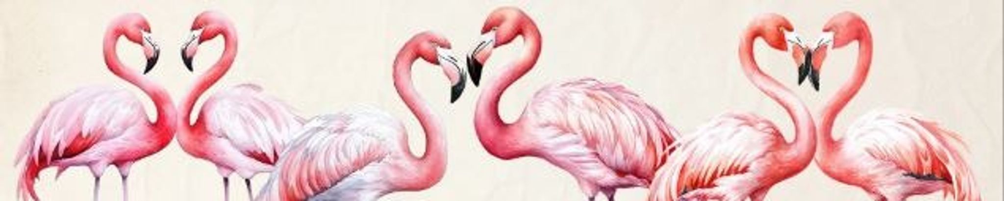 Cover for Mary "Kathy" Kathleen Morgan's Obituary