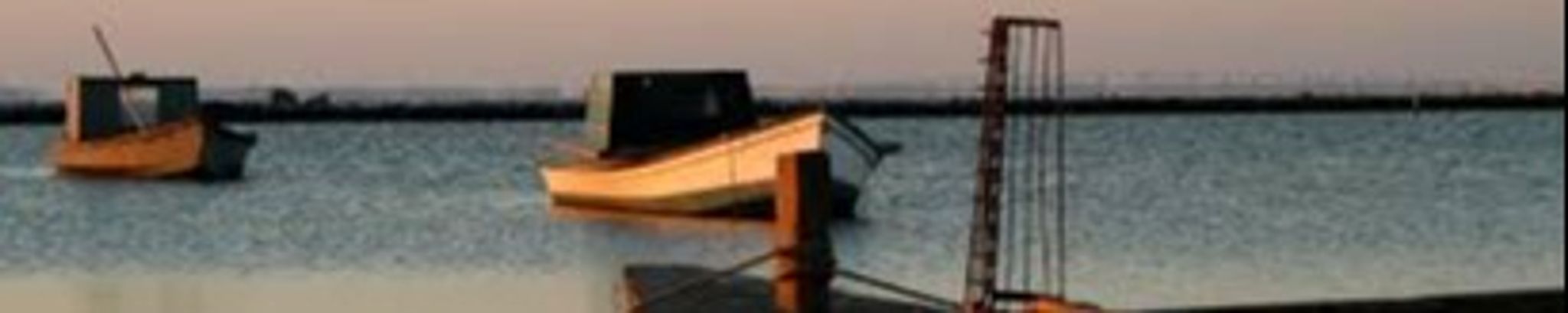 Cover photo for John Matthew Polous's Obituary