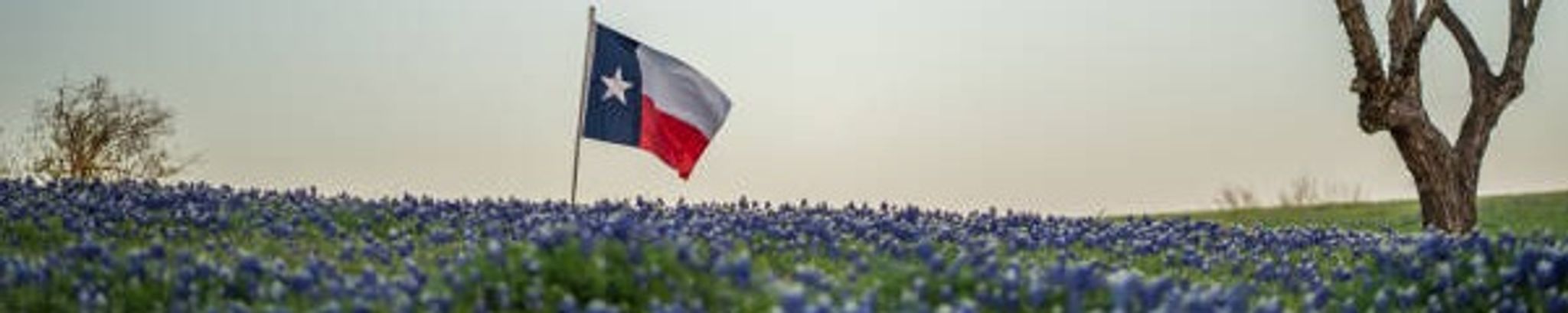 Cover for Aaron Edward Wallace Jr.'s Obituary